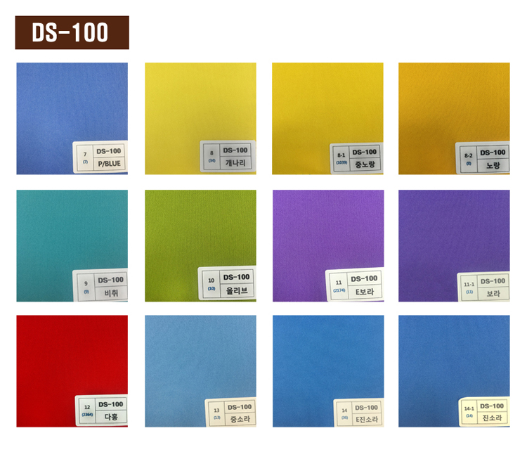 DS-100_2.jpg