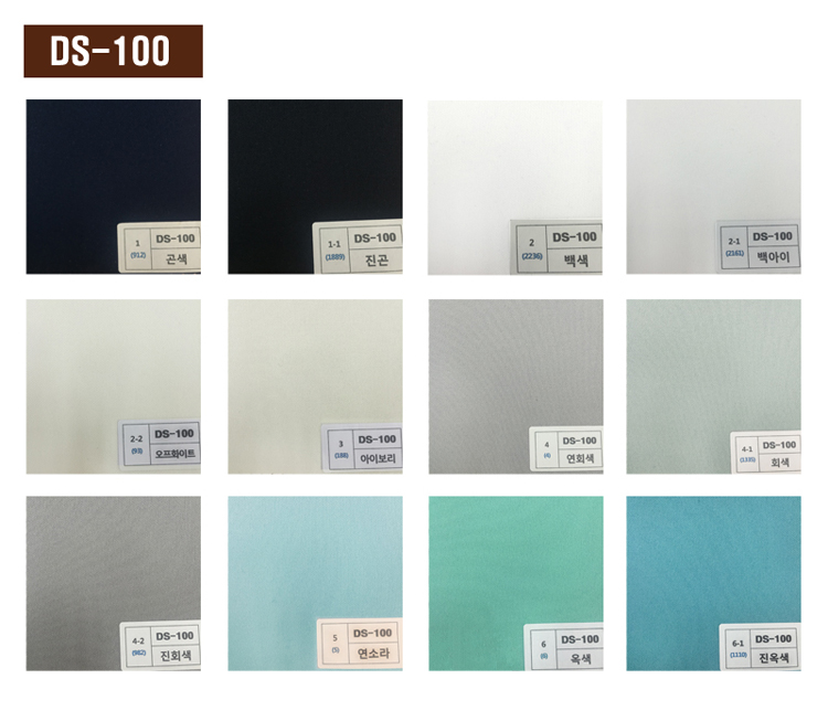 DS-100.jpg