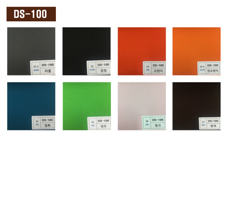 DS-100_4.jpg